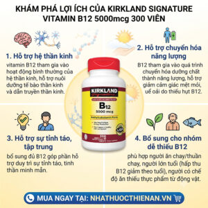 cong dung Vitamin B12 Kirkland ho tro than kinh nang luong giam met moi