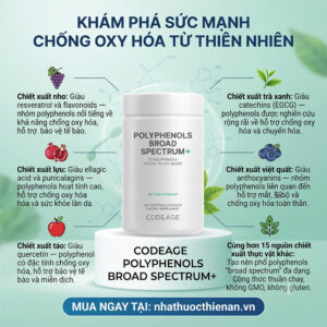 thanh phan Codeage Polyphenols chiet xuat nho tra xanh luu viet quat tao