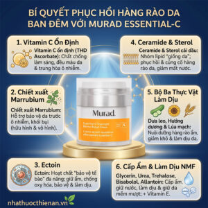 thanh phan Murad Essential-C Overnight THD vitamin C marrubium ectoin ceramide