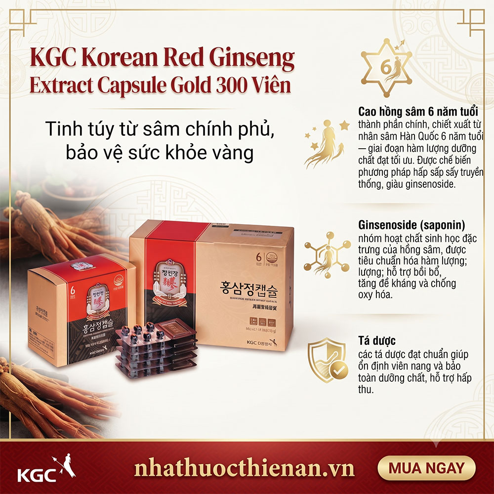 thanh phan vien hong sam KGC cao hong sam 6 nam ginsenoside