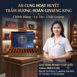 Mua An Cung Trầm Hương Ginseng King chính hãng ở đâu