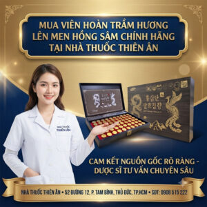 Mua Balhyo Chimhyang Hongsamdan chính hãng ở đâu