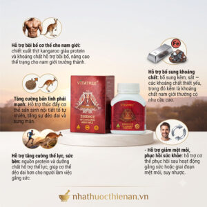 cong dung Vitatree Essence Kangaroo boi bo tang the luc nam gioi