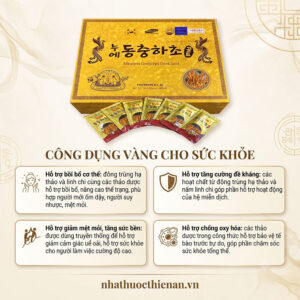 cong dung nuoc dong trung ha thao Pocheon ho tro boi bo tang de khang