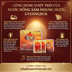 cong dung nuoc hong sam nhung huou Gyeongbuk ho tro boi bo the luc suc de khang