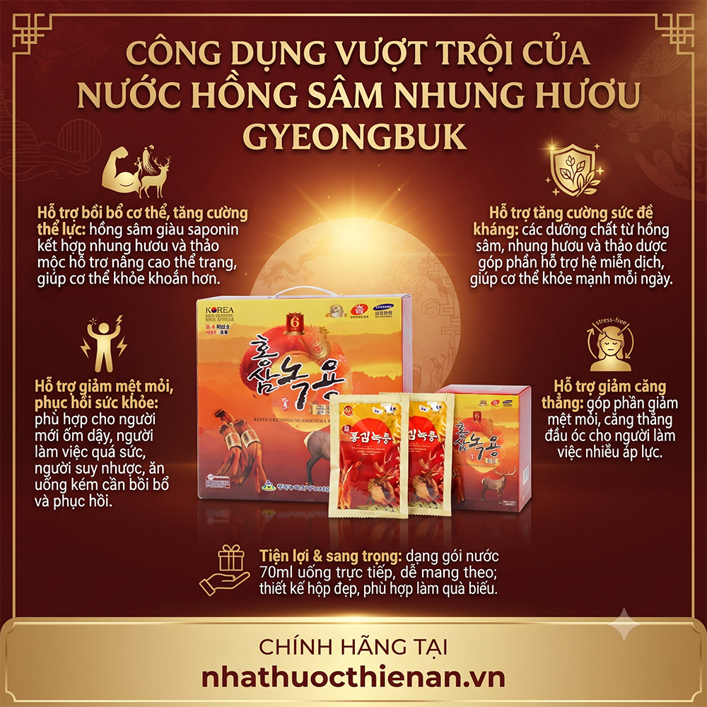 cong dung nuoc hong sam nhung huou Gyeongbuk ho tro boi bo the luc suc de khang