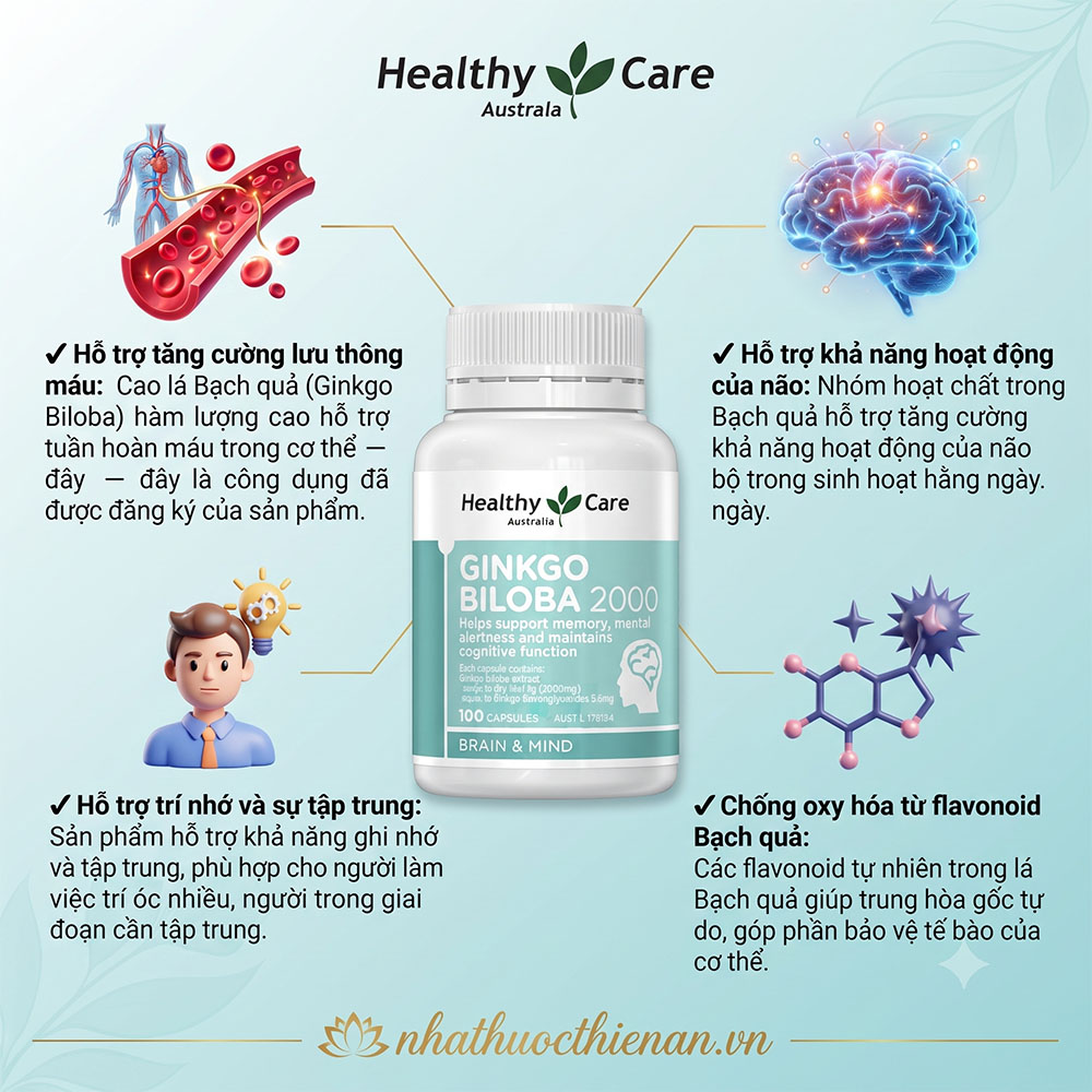 ginkgo biloba healthy care ho tro luu thong mau hoat dong nao bo