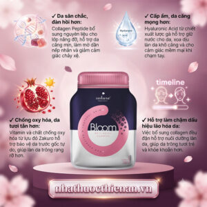 keo deo sakura bloom ho tro da cang mong san chac chong lao hoa