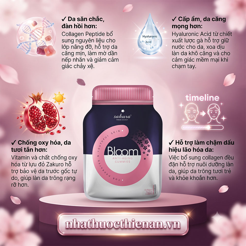 keo deo sakura bloom ho tro da cang mong san chac chong lao hoa