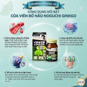noguchi ginkgo dha epa ho tro luu thong mau cung cap dha cho nao