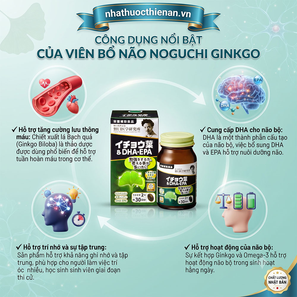 noguchi ginkgo dha epa ho tro luu thong mau cung cap dha cho nao