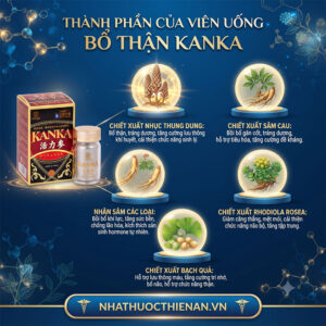 thanh phan Bo Than Kanka chiet xuat nhuc thung dung Cistanche