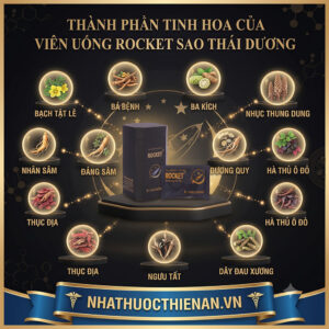 thanh phan Rocket bach tat le ba benh ba kich nhan sam ha thu o