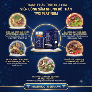 thanh phan Sam Nhung Bo Than TW3 nhan sam nhung huou dam duong hoac