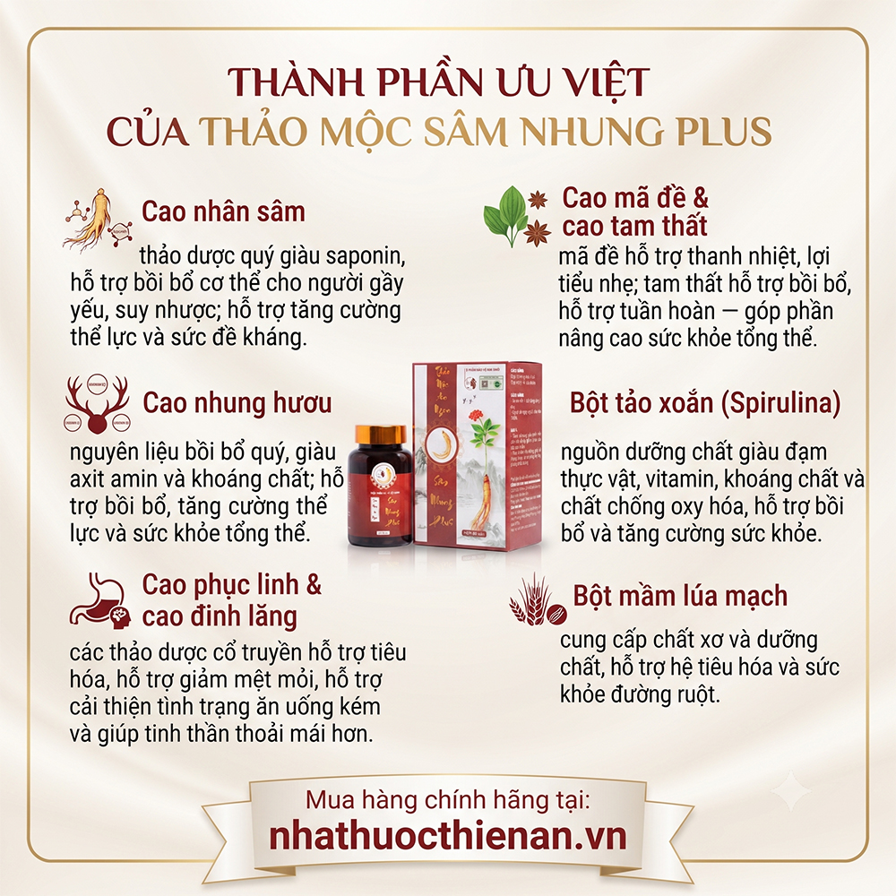 thanh phan Sam Nhung Plus nhan sam nhung huou phuc linh dinh lang tam that tao xoan