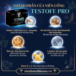 thanh phan Testofe Pro Testofen ba kich dam duong hoac nhan sam