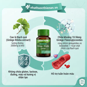 thanh phan cenovis ginkgo biloba 2000 cao la bach qua flavonglycosides