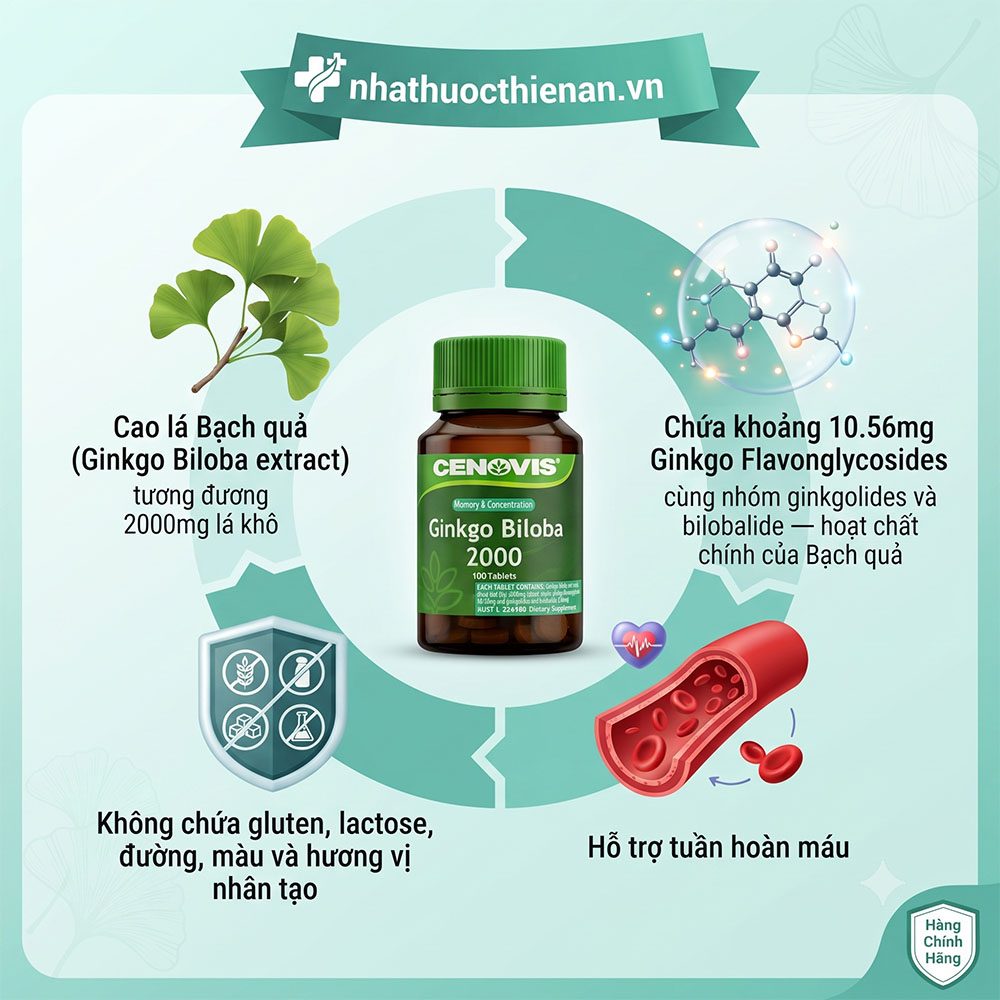thanh phan cenovis ginkgo biloba 2000 cao la bach qua flavonglycosides