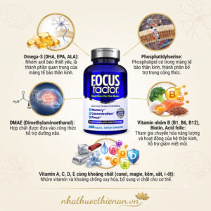 thanh phan focus factor omega 3 dha phosphatidylserine vitamin khoang chat