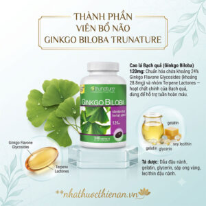 thanh phan ginkgo biloba trunature cao la bach qua 120mg flavone glycosides