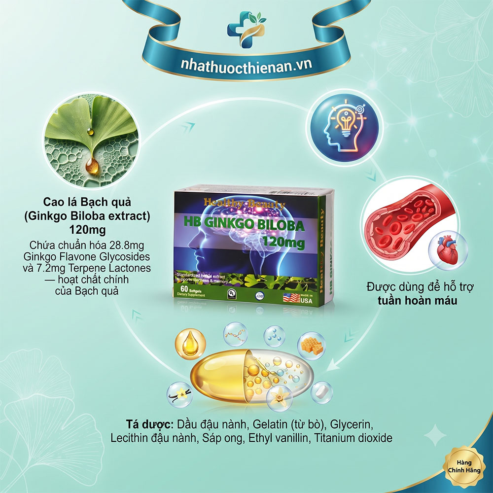 thanh phan hb ginkgo biloba 120mg cao la bach qua flavone glycosides terpene lactones