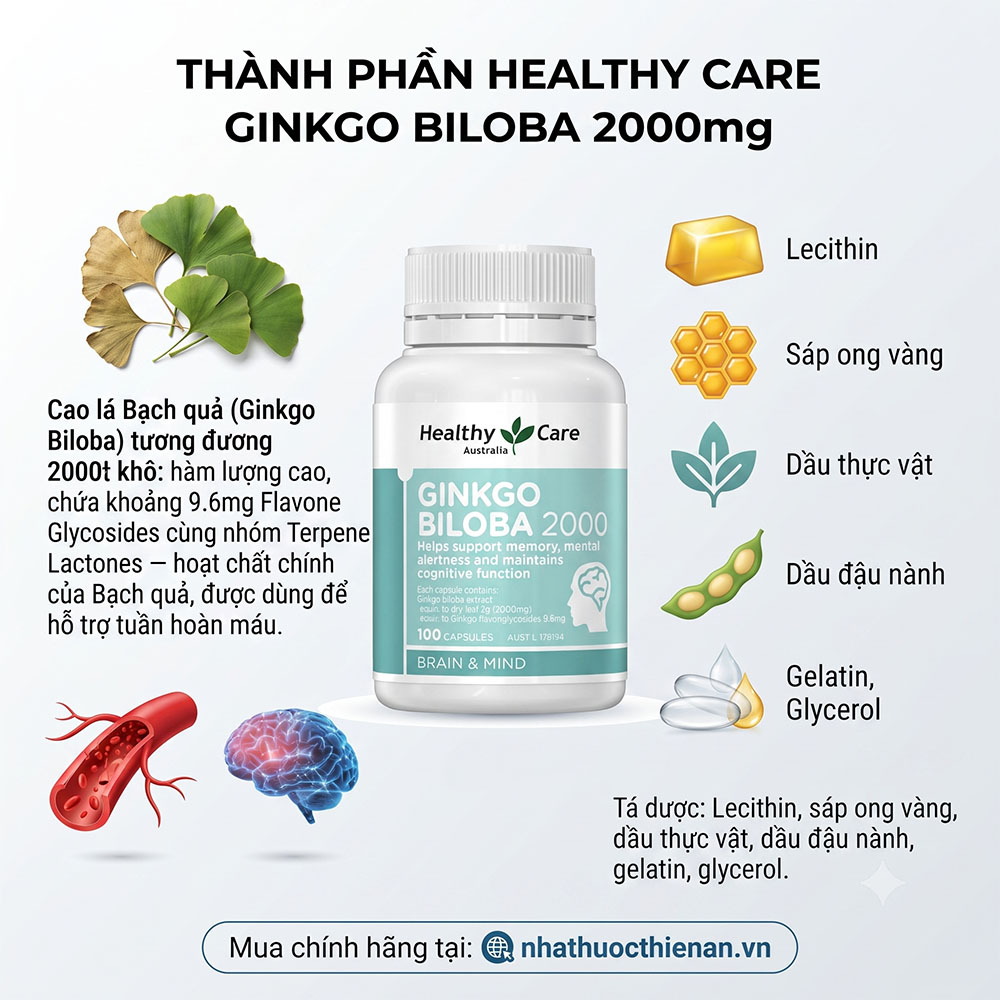 thanh phan healthy care ginkgo biloba 2000mg cao la bach qua flavone glycosides