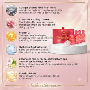 thanh phan hebora collagen dang tui collagen ca hoa hong damask vitamin c