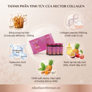 thanh phan hector collagen dong trung ha thao cordyceps collagen 5000mg hyaluronic vitamin c