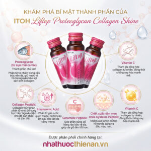 thanh phan itoh liftop proteoglycan sun ca hoi collagen peptide hyaluronic