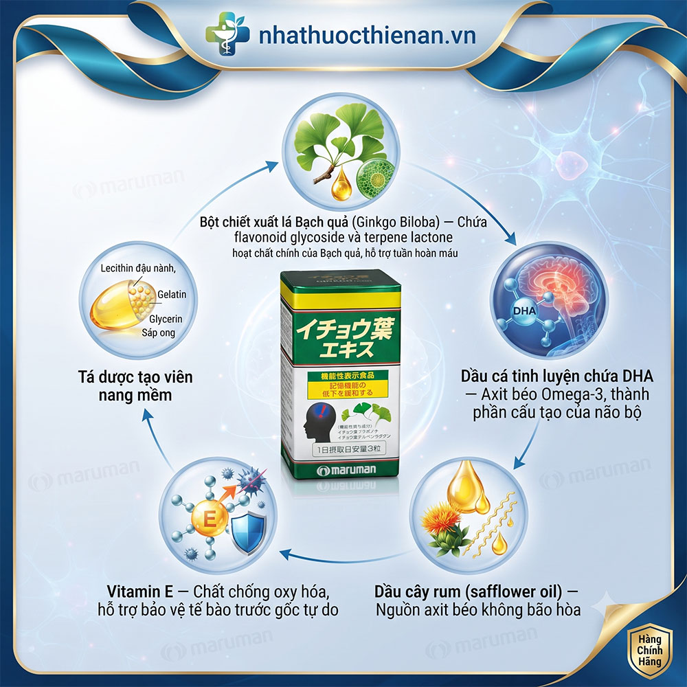 thanh phan maruman ginkgo biloba chiet xuat bach qua dha dau ca vitamin e