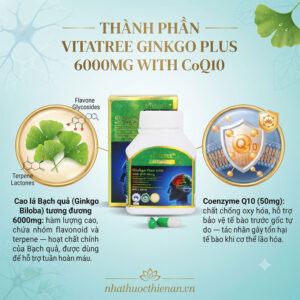 thanh phan vitatree ginkgo plus cao la bach qua 6000mg coenzyme q10 50mg