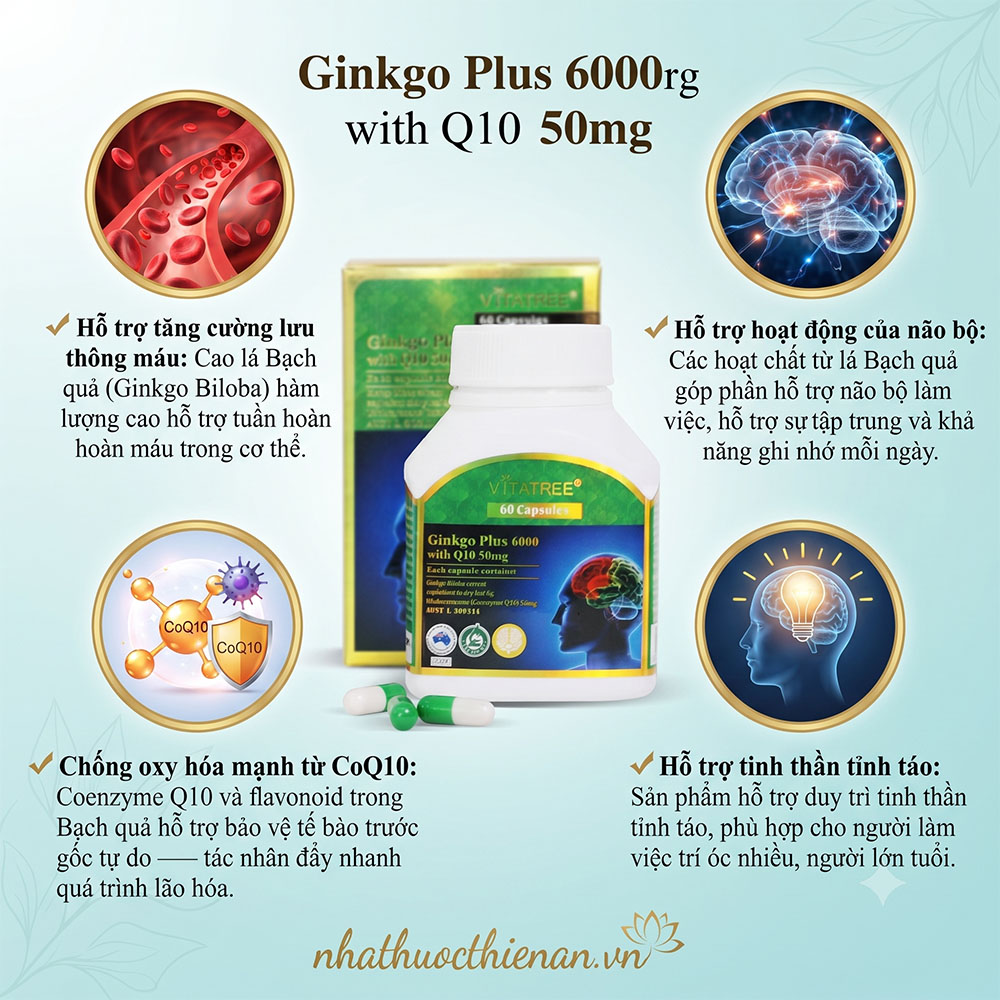 vitatree ginkgo plus coq10 ho tro luu thong mau hoat dong nao bo